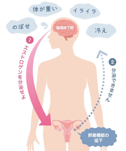 更年期障害