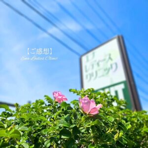 ご感想