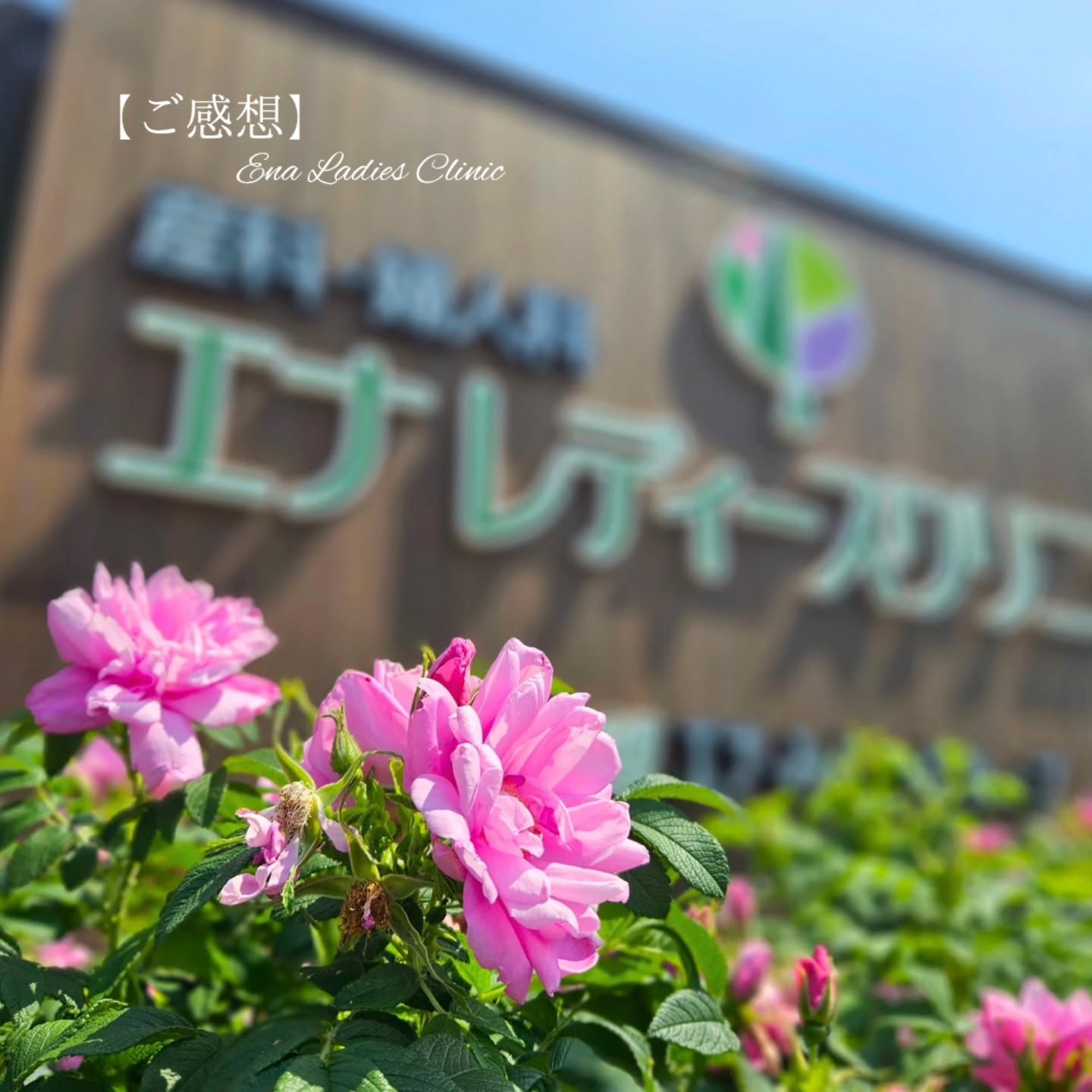 2025年7月 お産のご感想