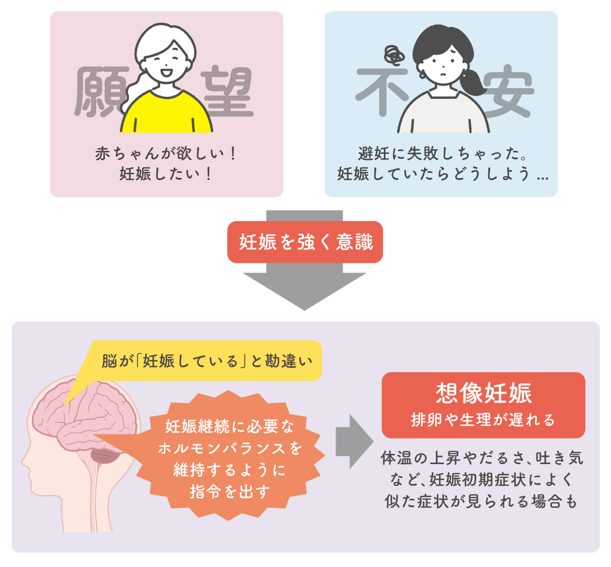 想像妊娠のメカニズム