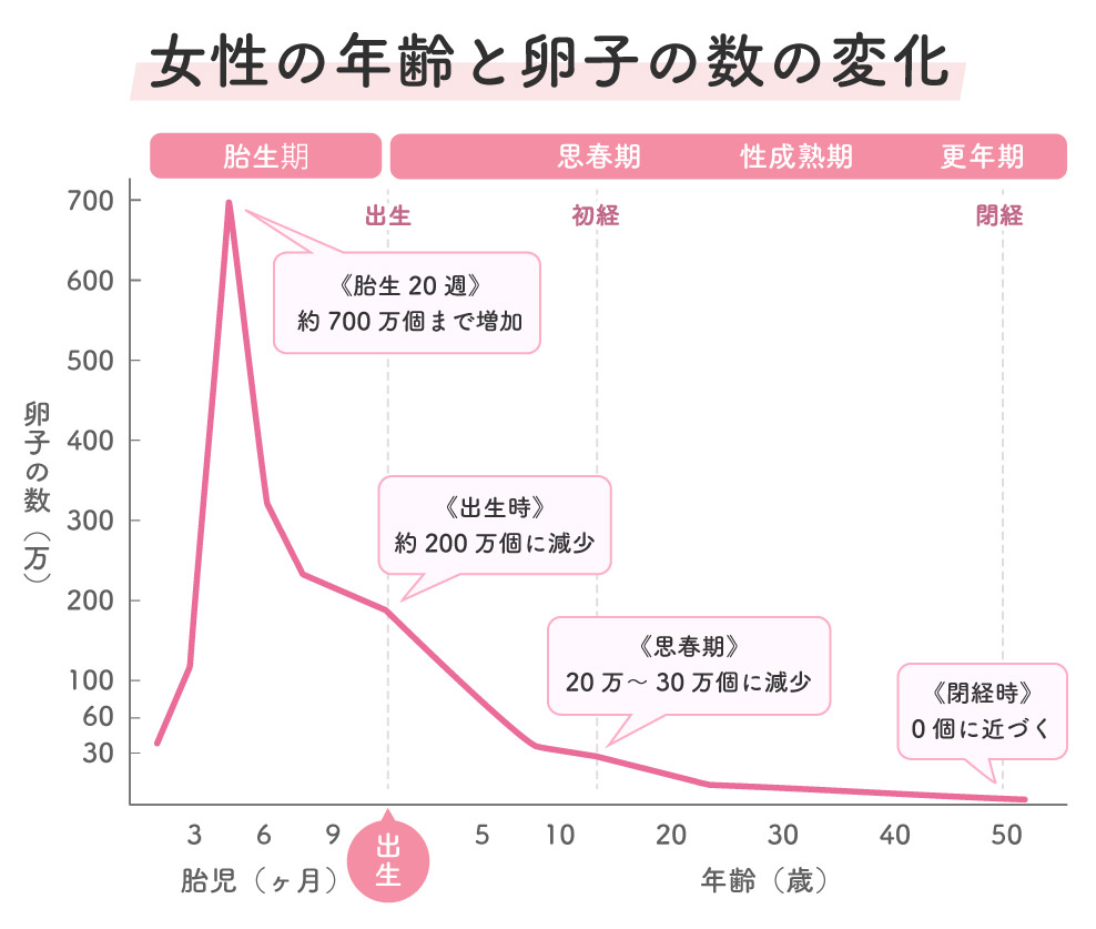 女性の年齢と卵子の数の変化