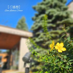 2025年9月 お産のご感想