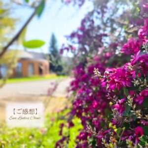 2025年11月 お産のご感想