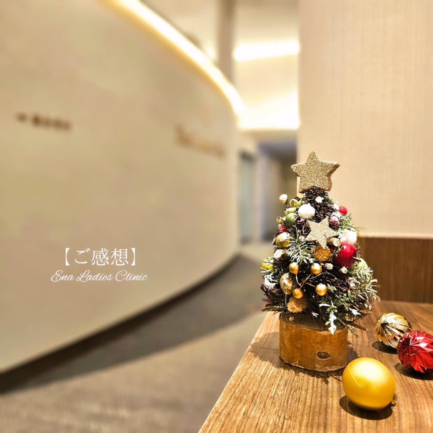 2025年12月 お産のご感想