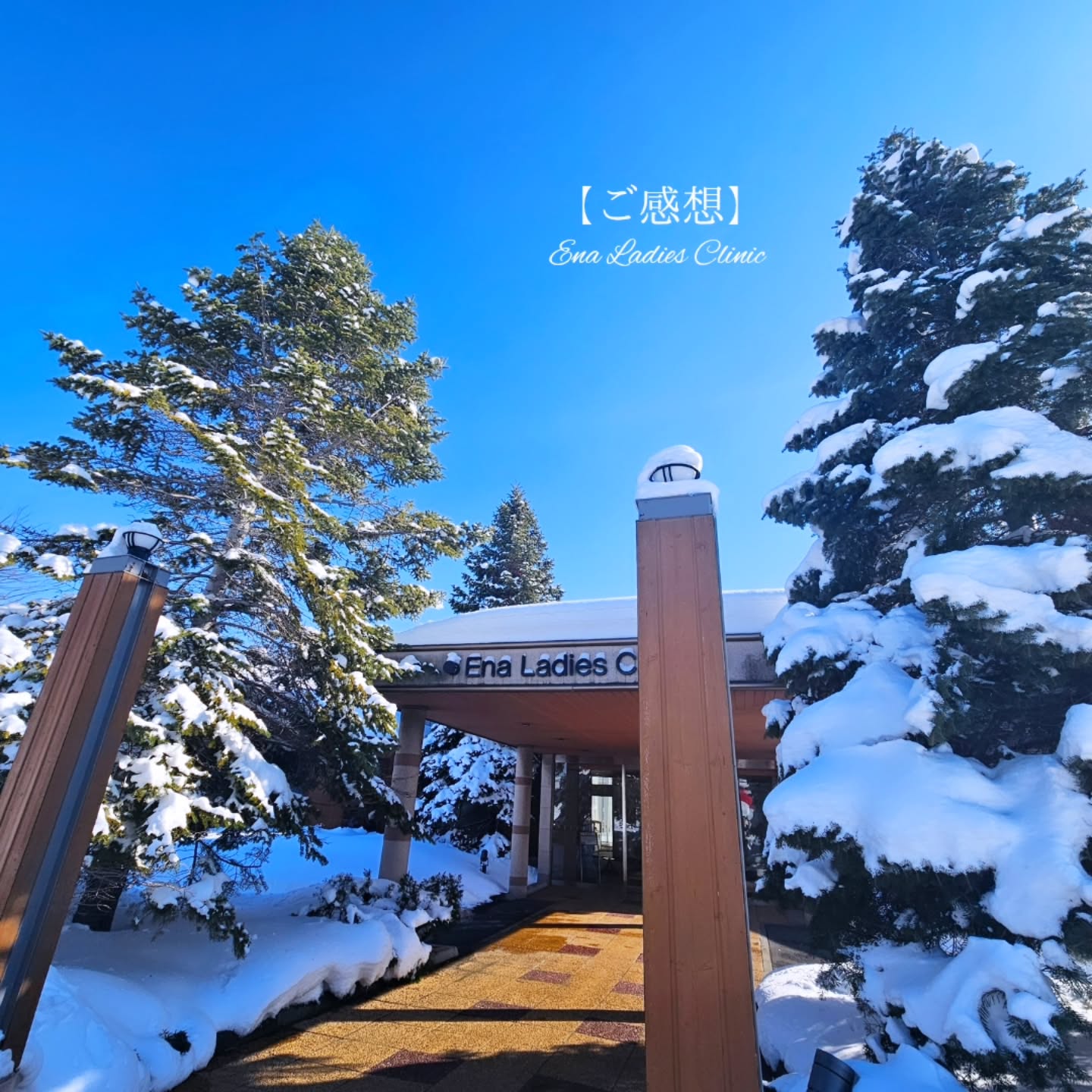 2026年2月 お産のご感想