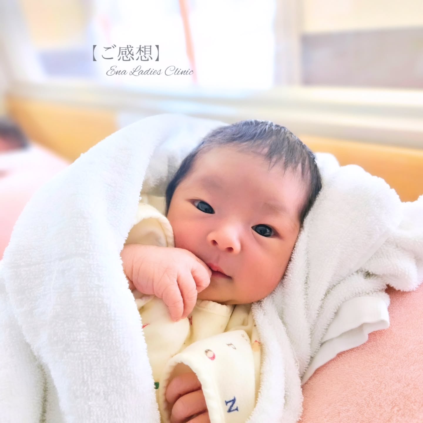 2026年3月 お産ご感想