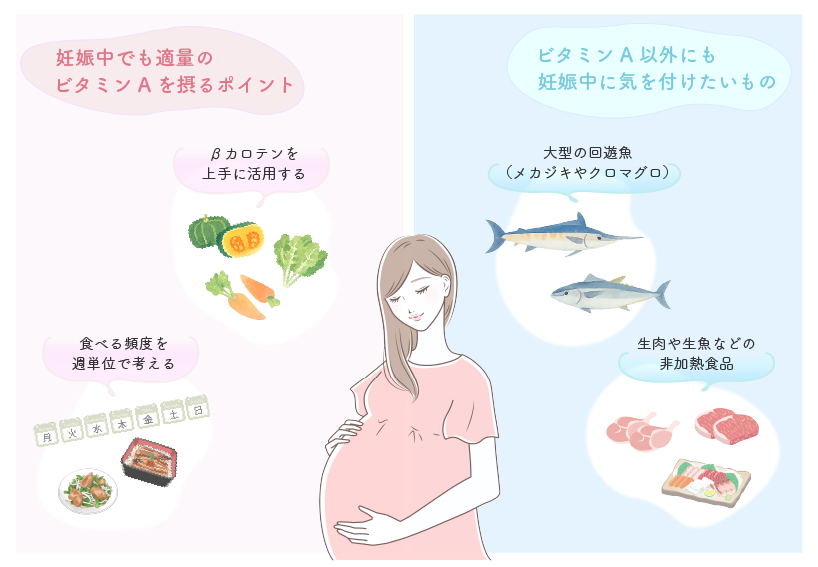 妊娠中でも適量のビタミンAを摂るポイント