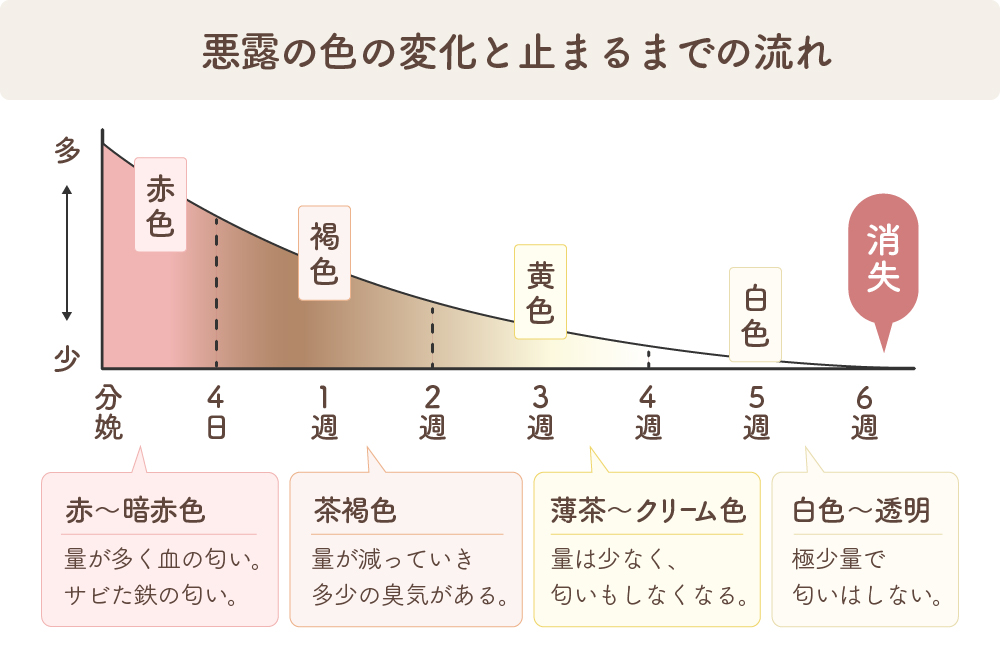 悪露の色の変化と止まるまでの流れ