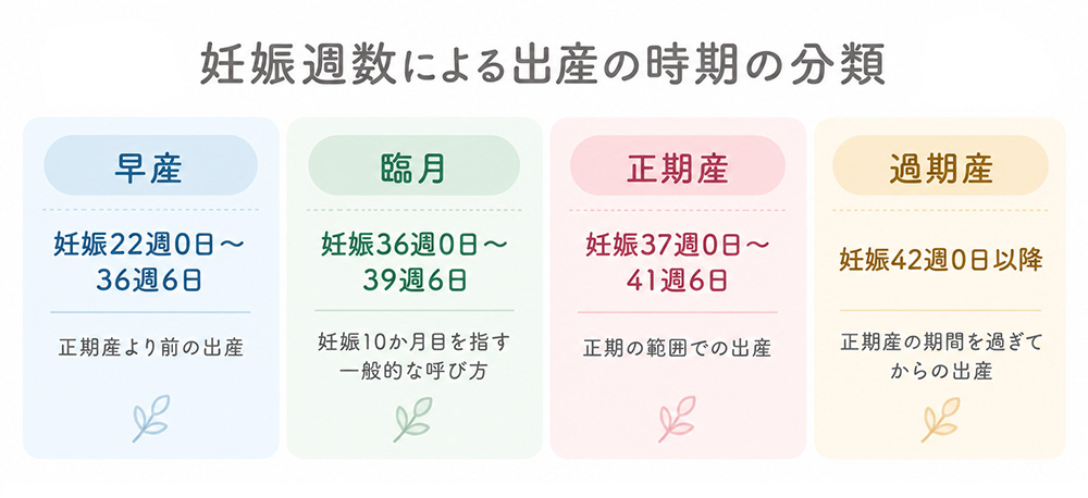 臨月はいつか